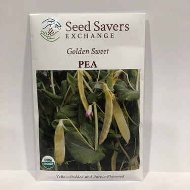 Golden Sweet Pea, Organic